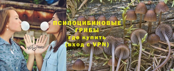 гашик Вяземский