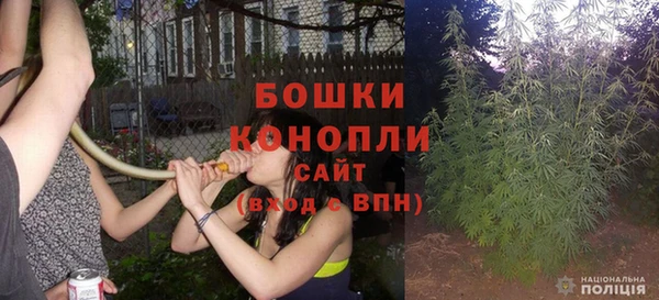 шишки Комсомольск