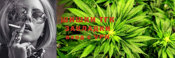 гашик Вяземский