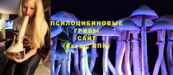 COCAINE Гусев