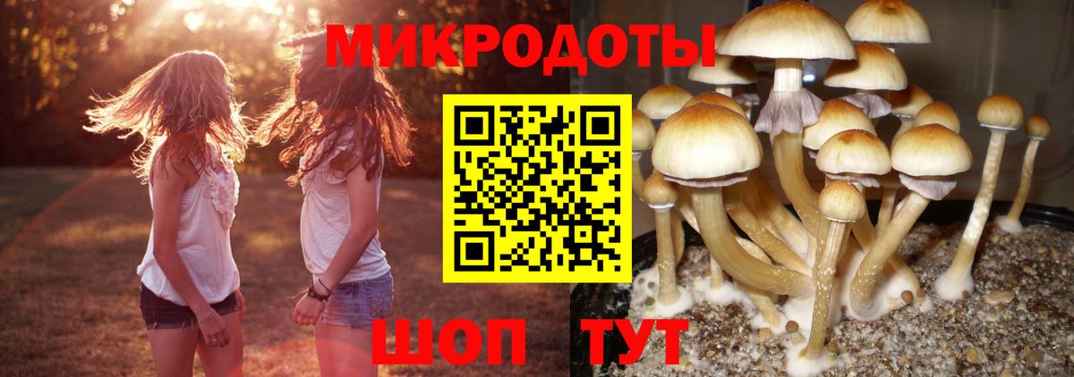 Гурьевск  что такое   Псилоцибиновые грибы MAGIC MUSHROOMS  Вход с VPN  Галлюциногенные грибы ЛСД 
