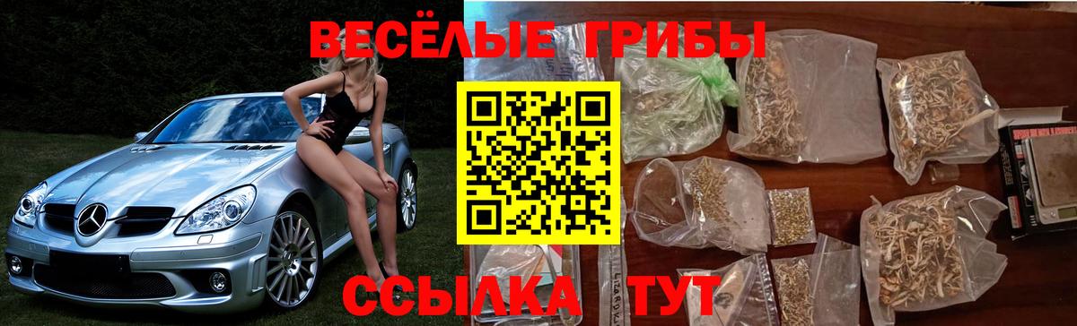 Псилоцибиновые грибы ЛСД Гурьевск