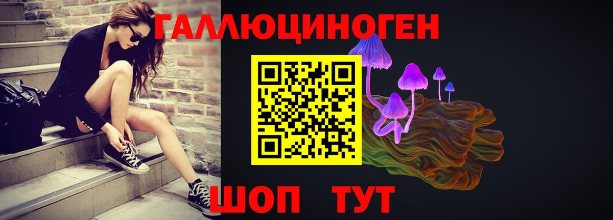 купить закладку  Гурьевск  Псилоцибиновые грибы Psilocybe 