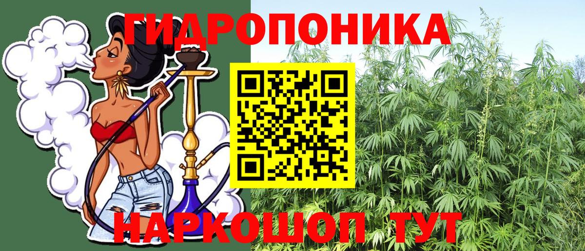 Бошки марихуана SATIVA & INDICA  Бошки марихуана семена  Канабис сатива  Гурьевск  Вход с VPN  Каннабис марихуана 